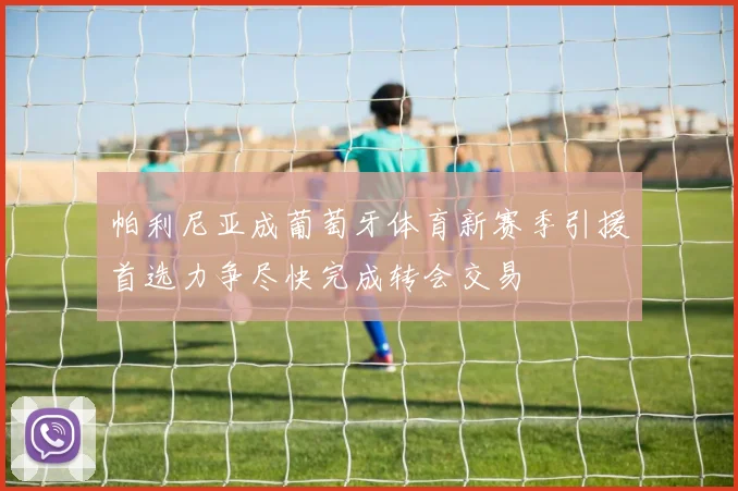 帕利尼亚成葡萄牙体育新赛季引援首选力争尽快完成转会交易